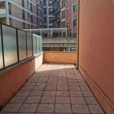 Everywhere Fralillo *